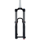RockShox Domain