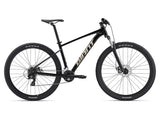 2024 Talon 4