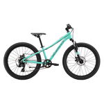 2025 Spyke 24" Disc