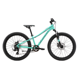 2025 Spyke 24" Disc